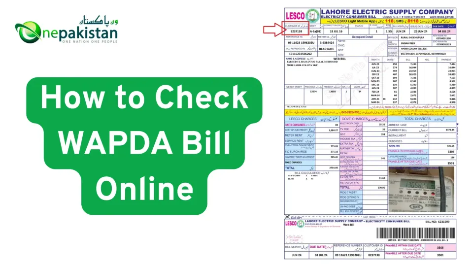 Check WAPDA Bill Online