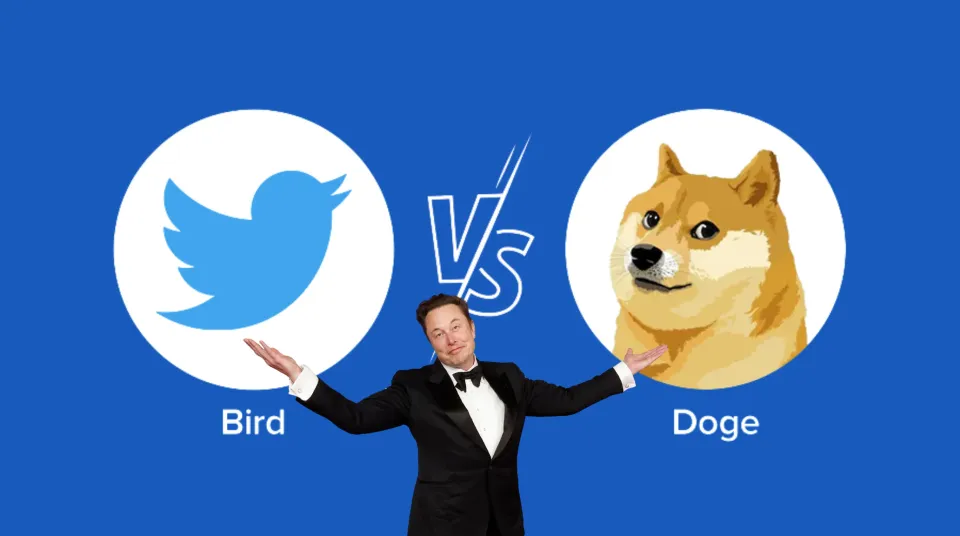 Dogecoin or Dog Logo? Twitter Users Confused by New Logo