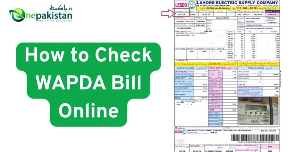 Check WAPDA Bill Online