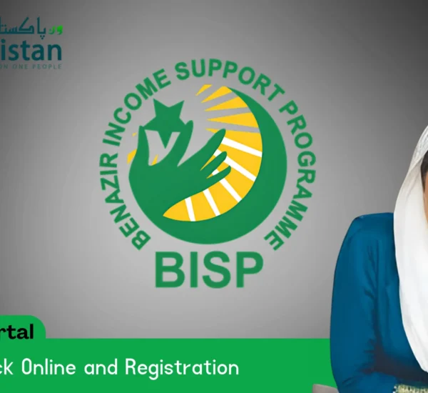 8171 web portal BISP check online and registration guide